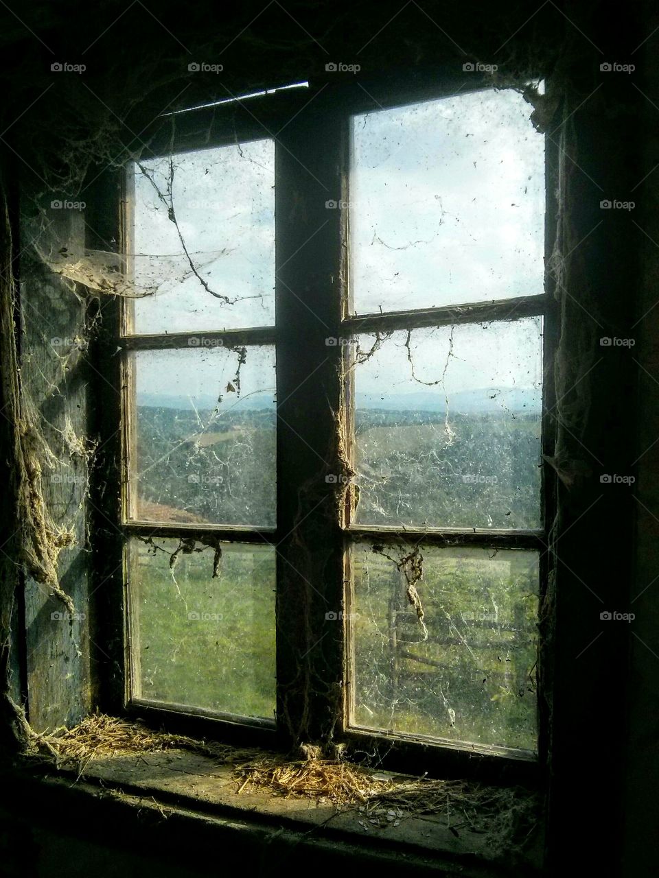 Window view