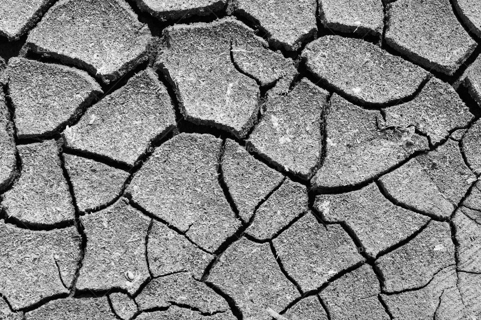 Waiting for monsoon to arrive. Cracked dry earth on a dried river bed in the dry season of Sri Lanka.