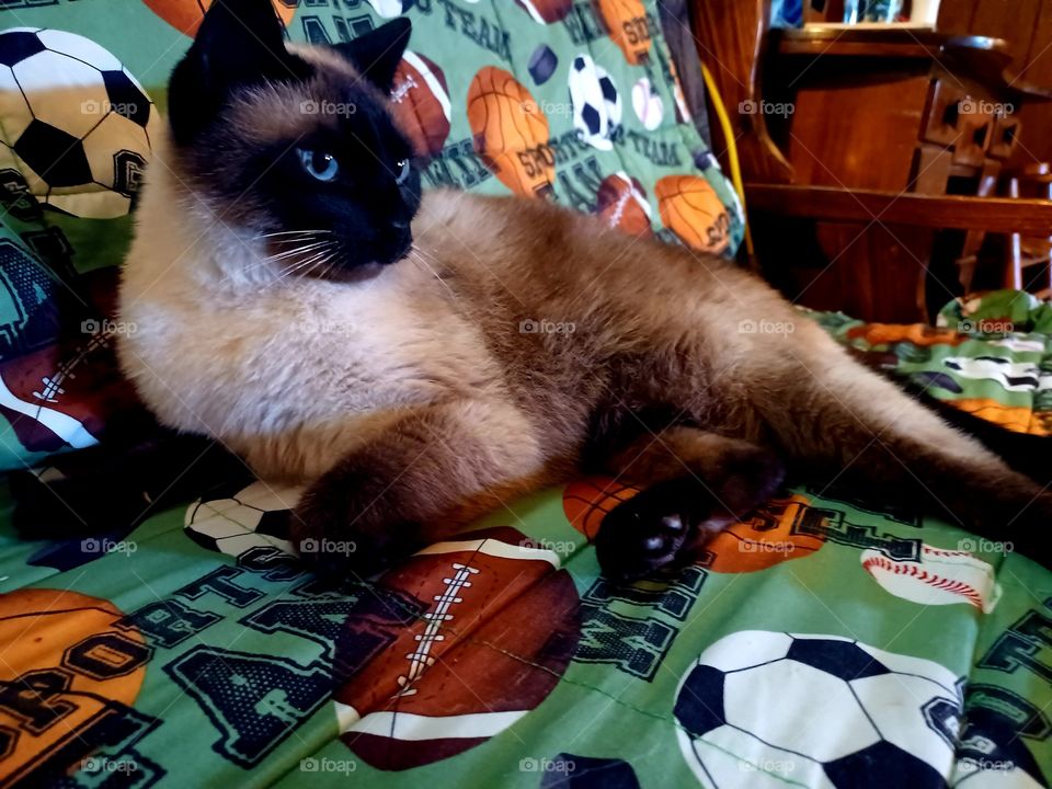 waiting for football to start