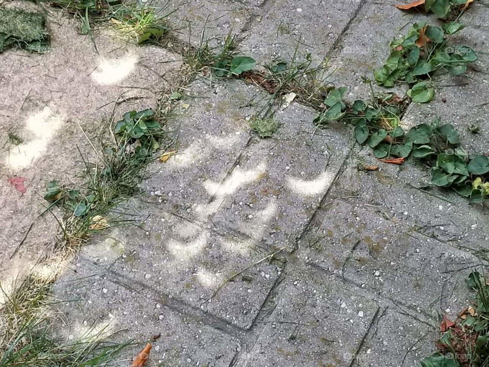 Stone, Nature, No Person, Leaf, Rock