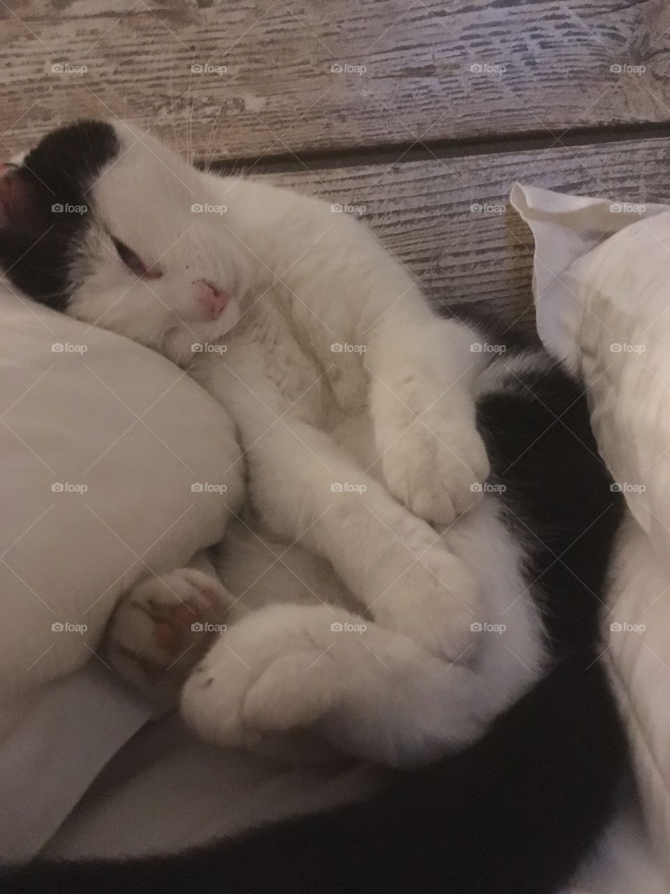 Kit kat between the pillows 