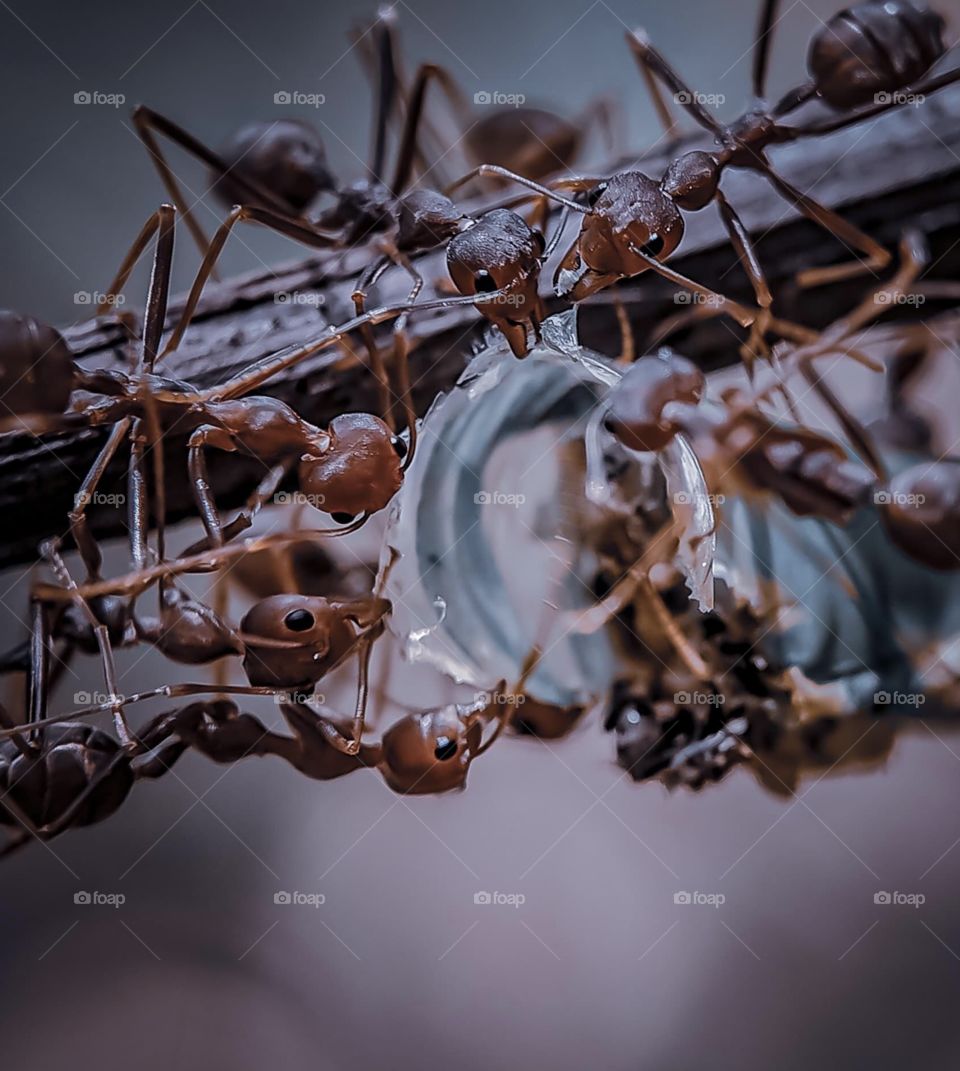 Share and collaborate