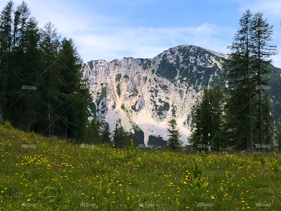 View of the Mountains