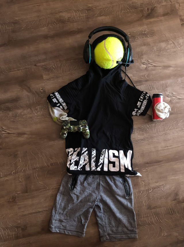 The Gamer