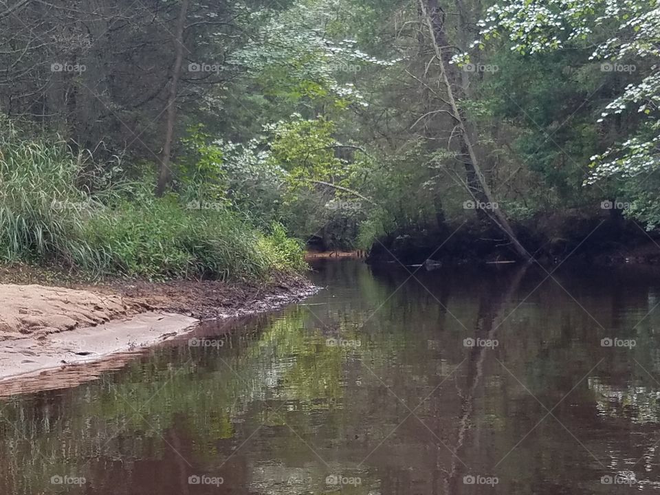 kayaking wharton state park nj