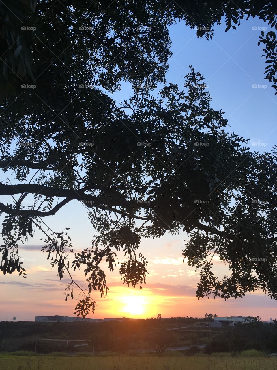 #NoFilter - a alvorada caipira!
Aqui é bom demais viver.
07h30, viva #Jundiaí!
☀️ 
#natureza 
#amanhecer 
#paisagem
#inspiração 
#fotografia 
#landscape 