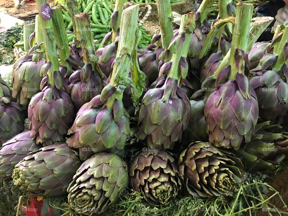 Artichoke 