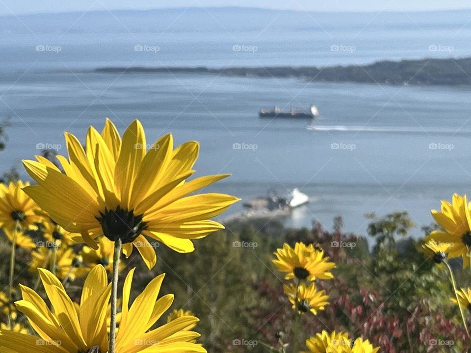 Breathtaking view of the St. Lawrence River in the Charlevoix region in the Bas St-Laurent in Quebec.
