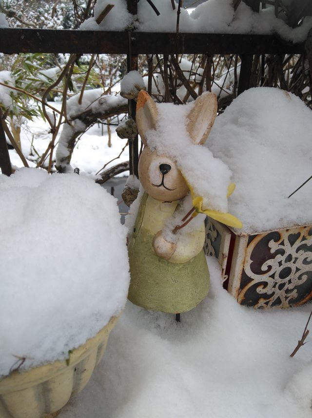 Ostern im Schnee
easter in the snow