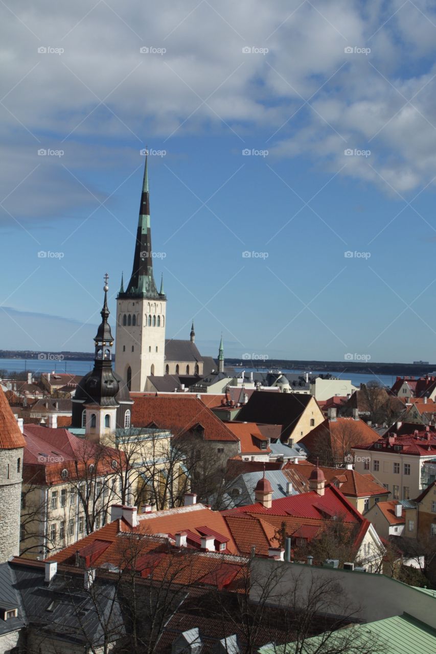Rooftops of Tallinn 