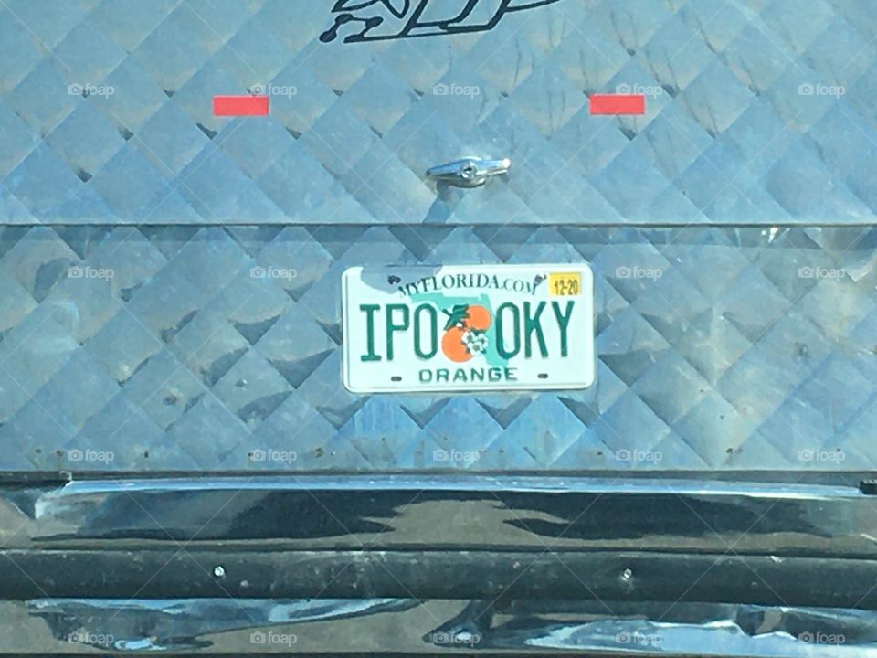 Unique Florida license plate collection IPOOKY