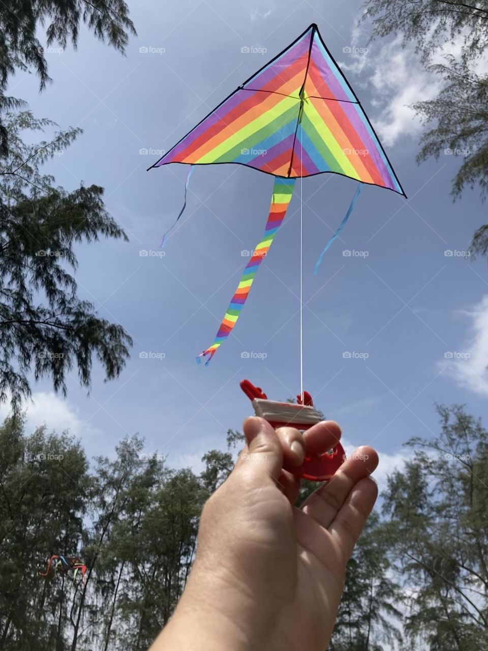 Rainbow coloured long tail kite flying in strong winds