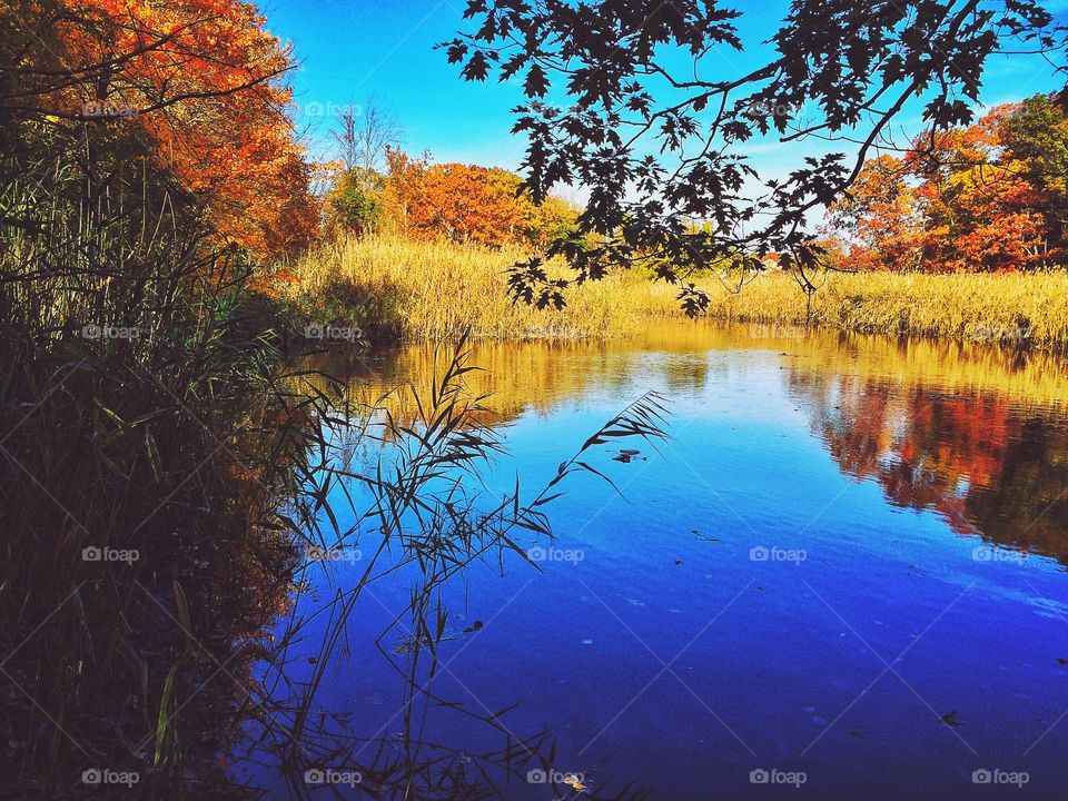 Milford, CT. On my lunch break 