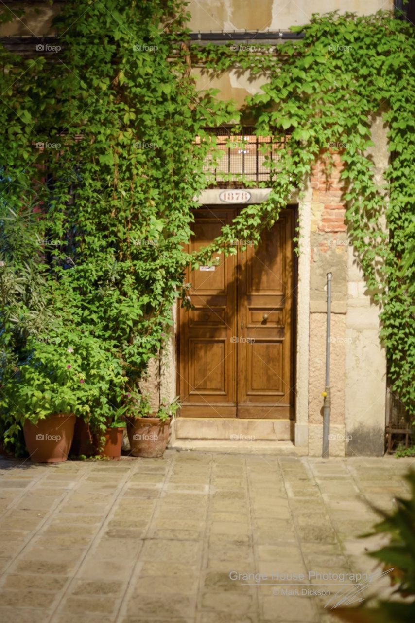 Ivy, No Person, House, Architecture, Garden