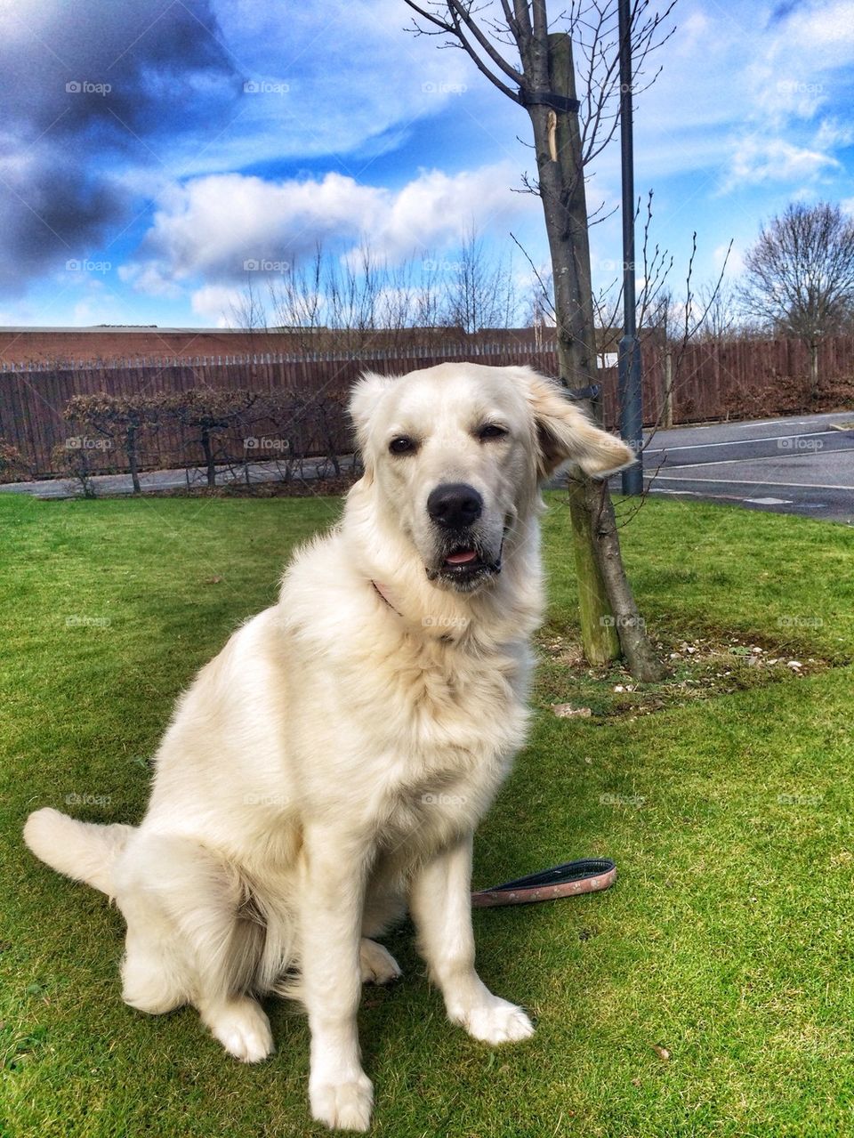 Zoe says It is too windy today!