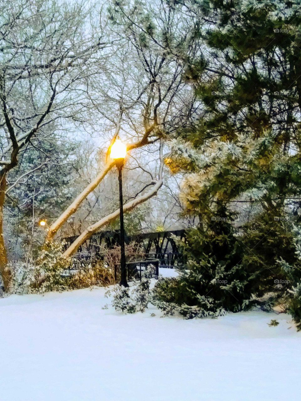 Lightlit snowfall at dusk