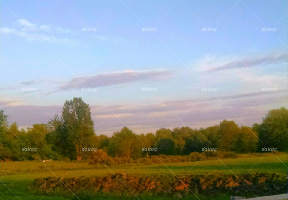 country scenery. just driving through the country on a summer night