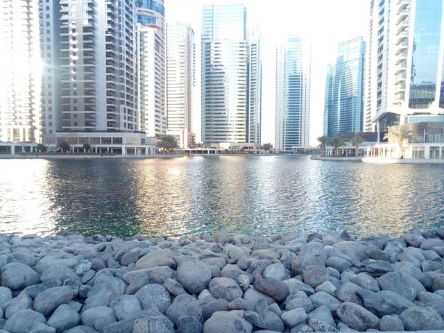 the calm place