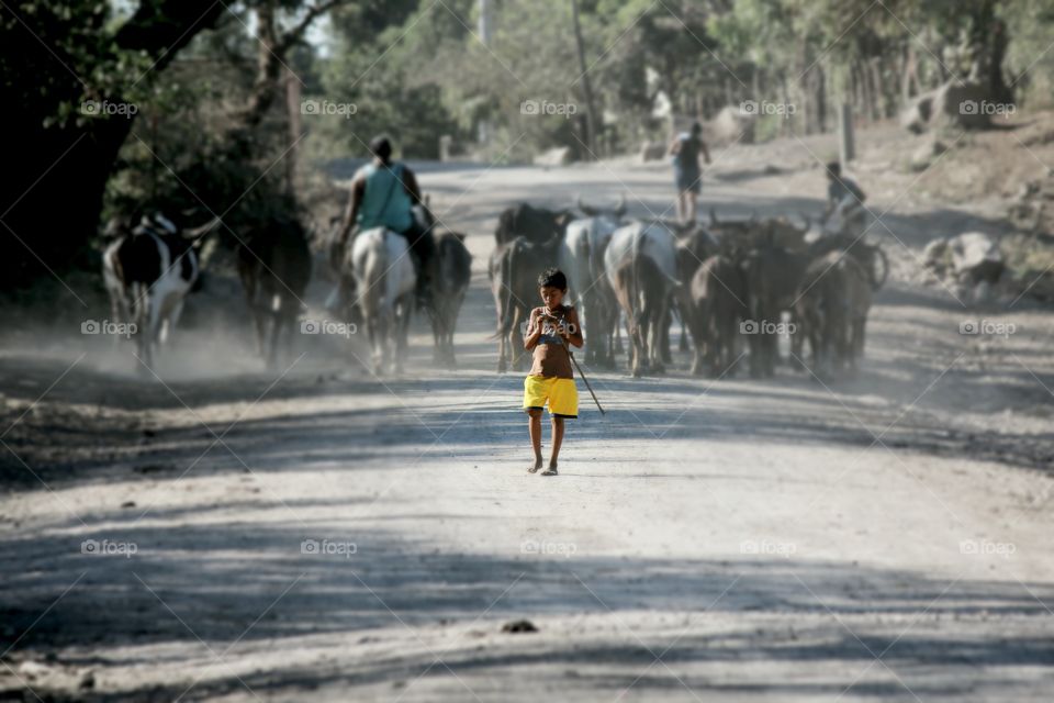 Boy in Yellow. This little guy came walking through that herd of cattle unfazed by their massiveness. His yellow shorts popped out from the kicked up dust. 