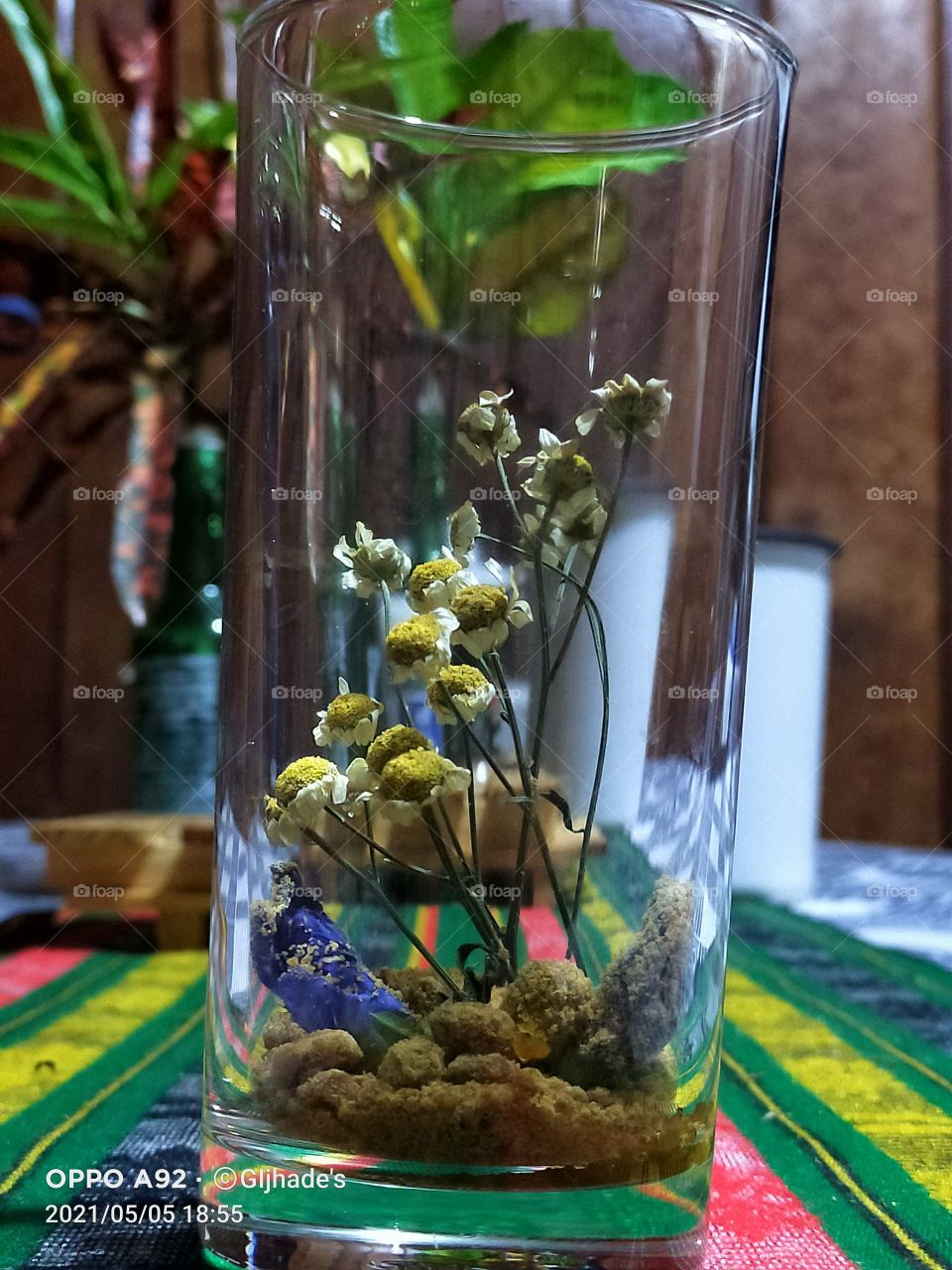 plants/teas ready for serving