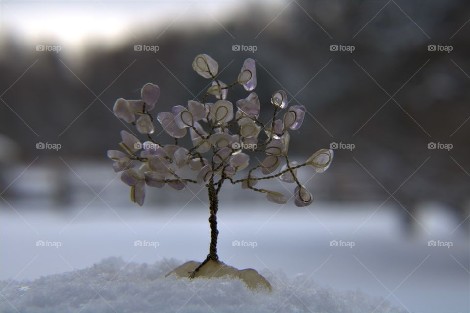 Twisted Wire and Rose Crystal Tree on a Mountain of Snow