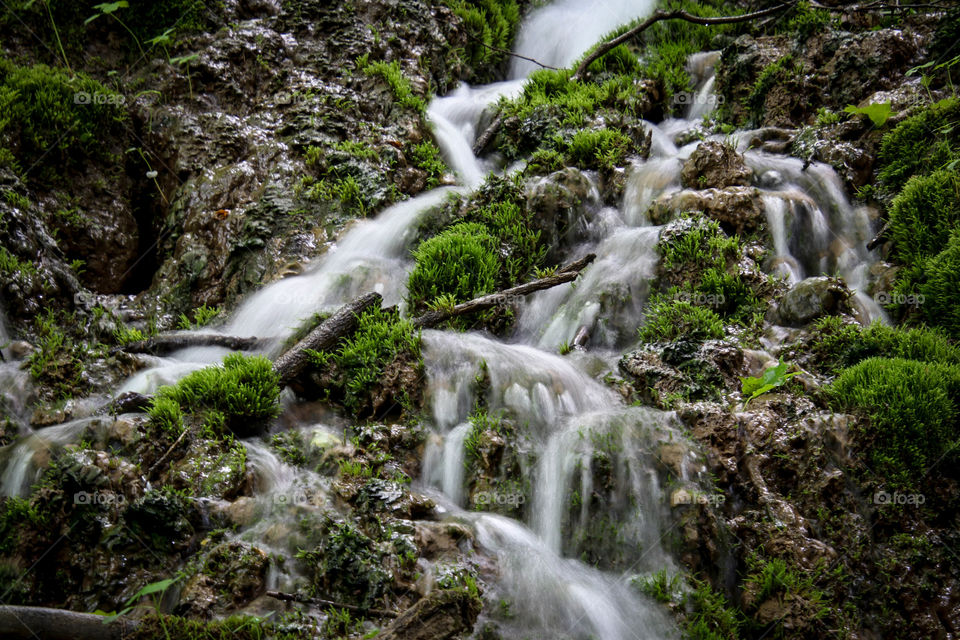 Waterfall in a forest