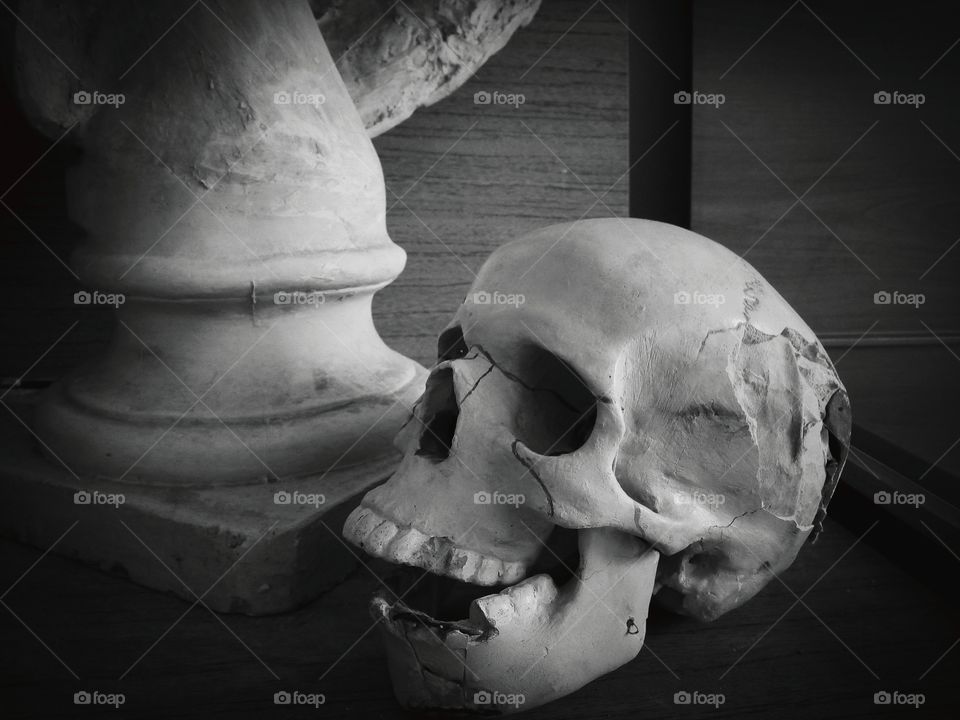скульптура гипсовый череп человека для рисования