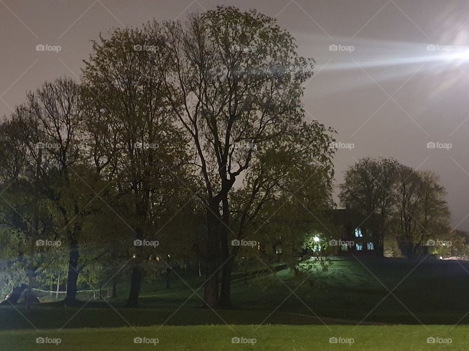 OsloByNight' kampenparken