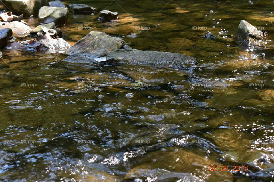 A closeup of the bubbling rapids of a river, depicting a seemingly endless flowing stream. 