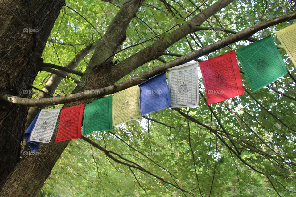 Prayer Flags