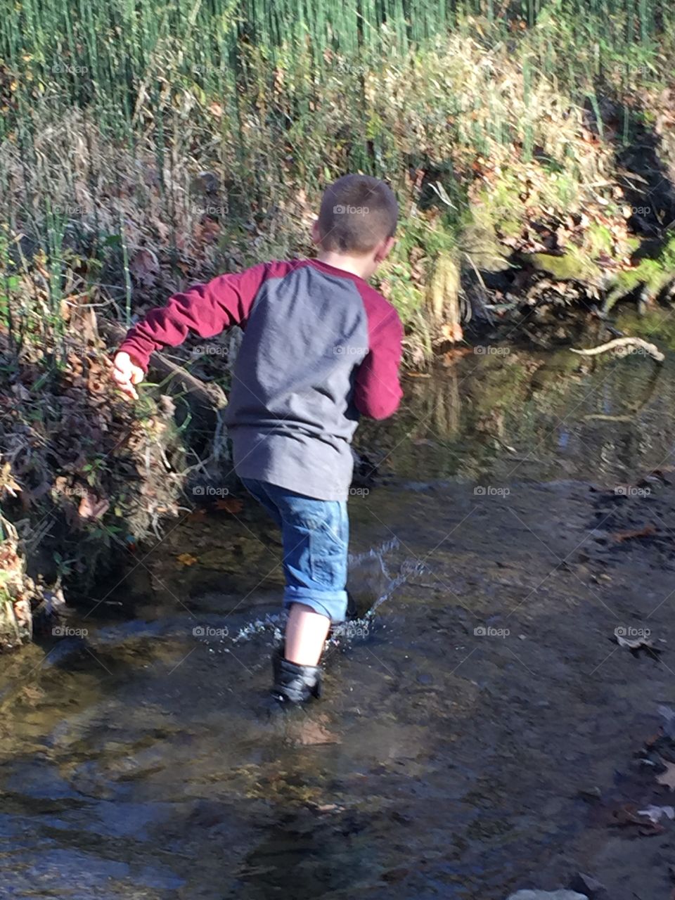 Small boy exploring stream