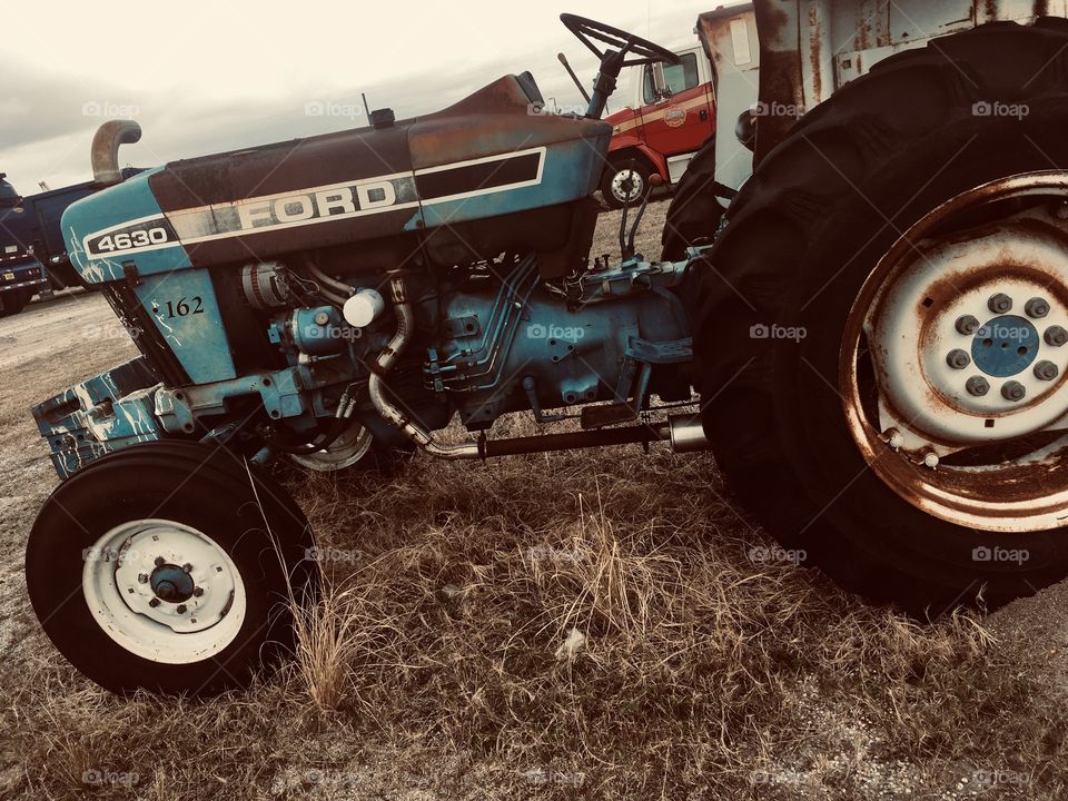 Old blue Ford tractor sitting in weeds in Florida 