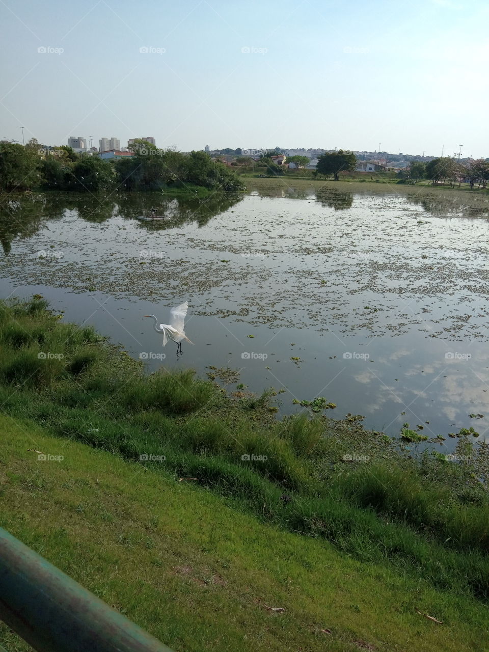 A Natureza e seus encantos