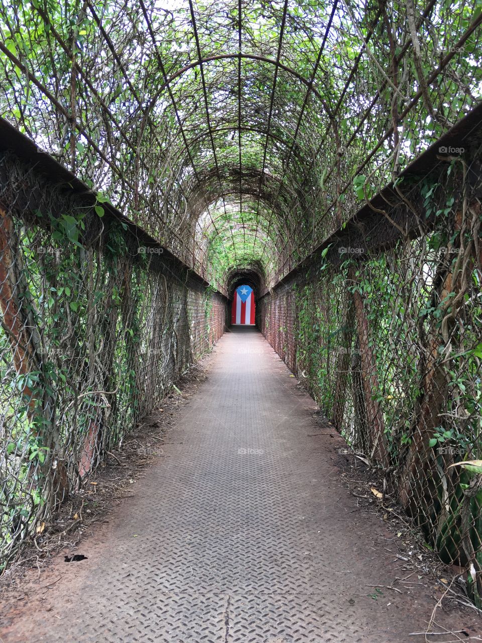 A forgotten bridge in Coamo, Puerto Rico. 