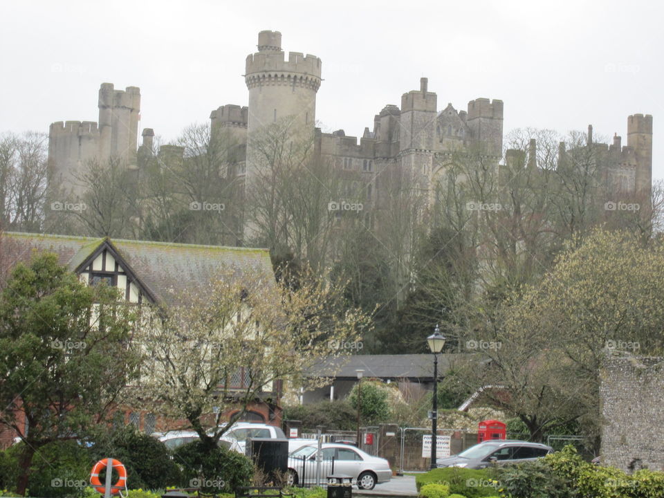 Castle, Architecture, Building, Travel, Tree