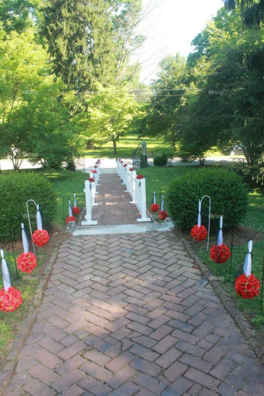 Wedding Pathway 