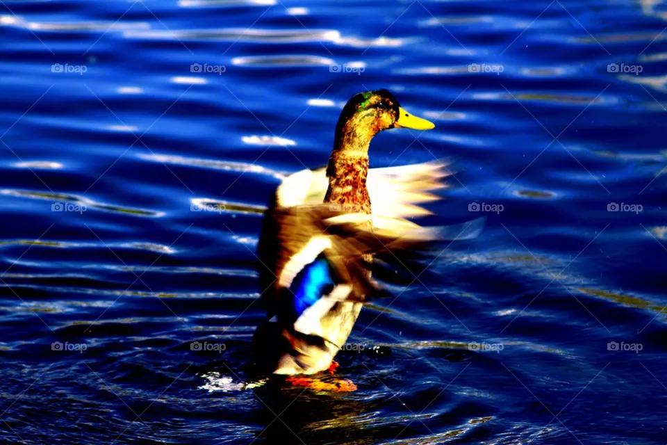 Takeoff