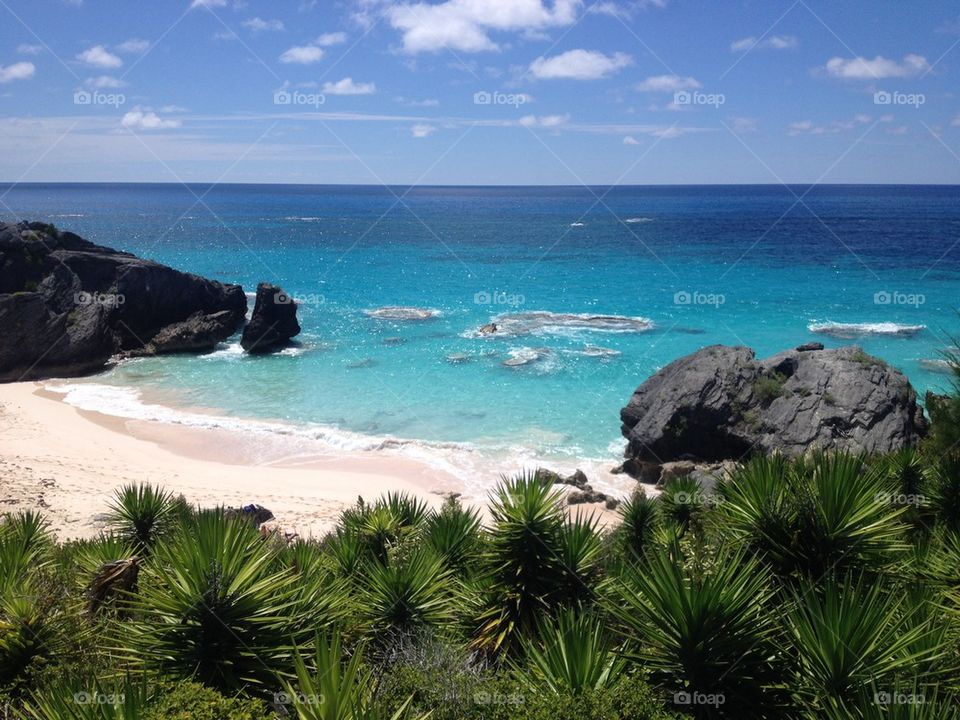 Horseshoe Bay Bermuda 