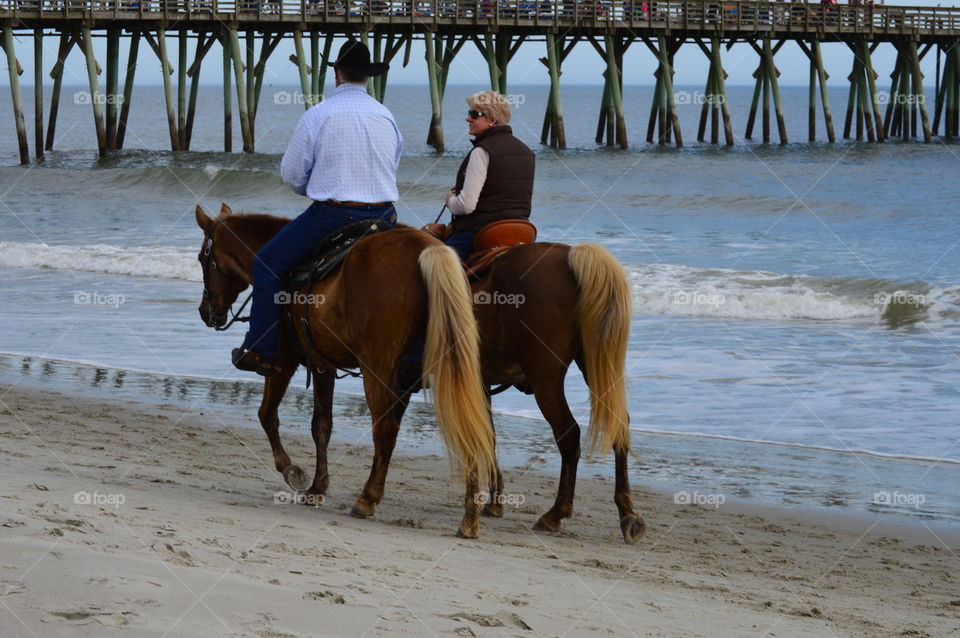 horses at the beach