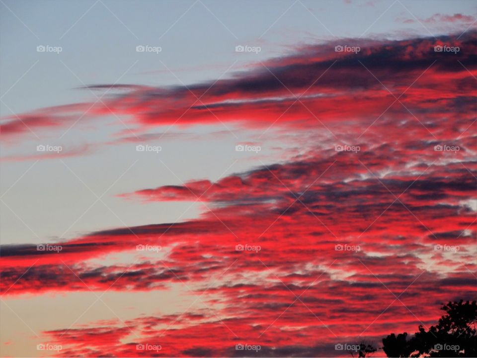 Red clouds in the evening 