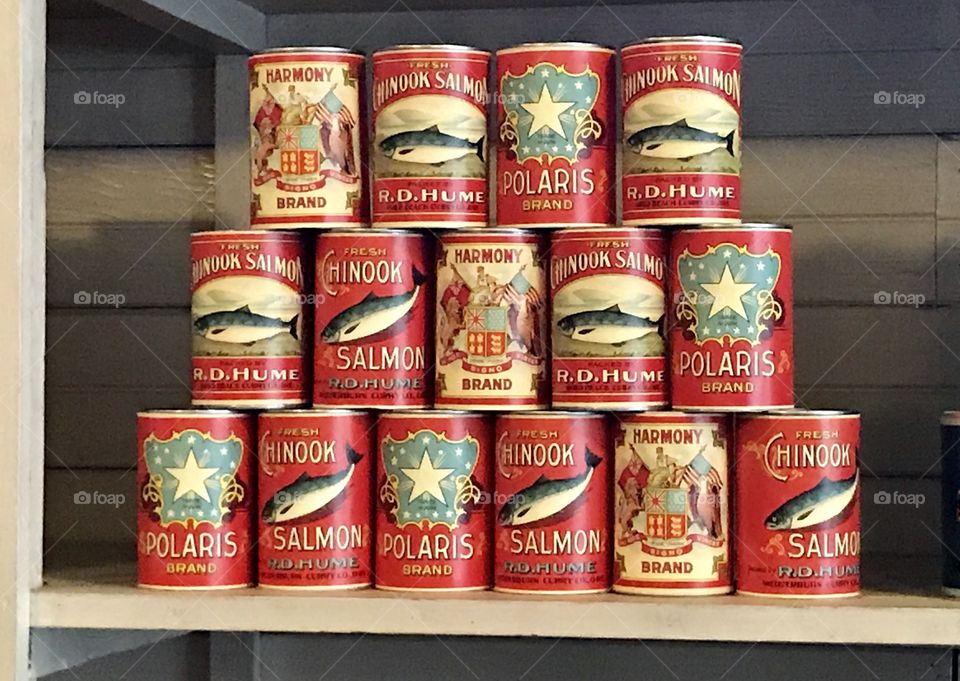 Vintage Canned Salmon Display