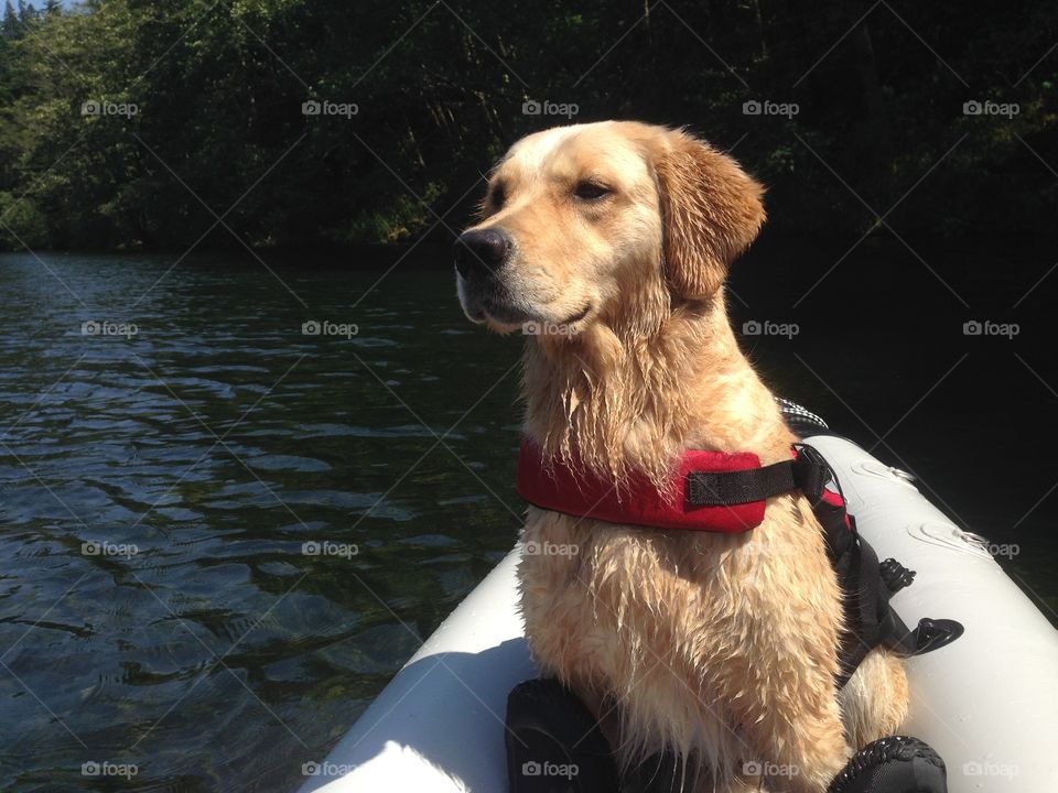 Land Ho. Kayaking on the Clackamas with Emmy