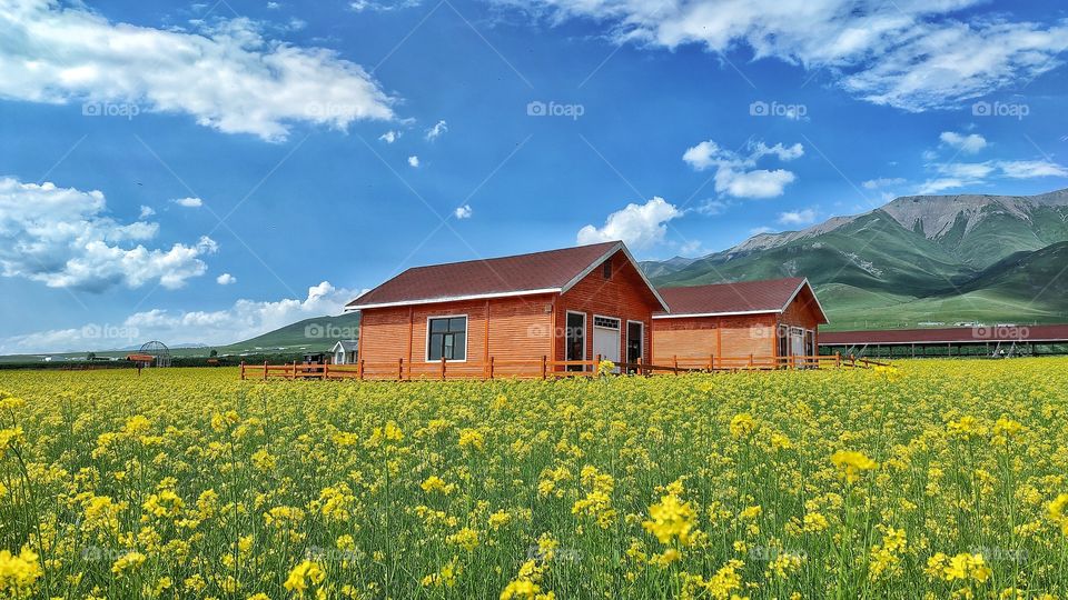 This is a series of scenery photos taken on the plateau