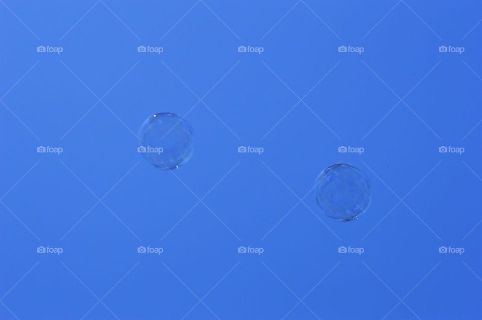 bubbles flying through the sky