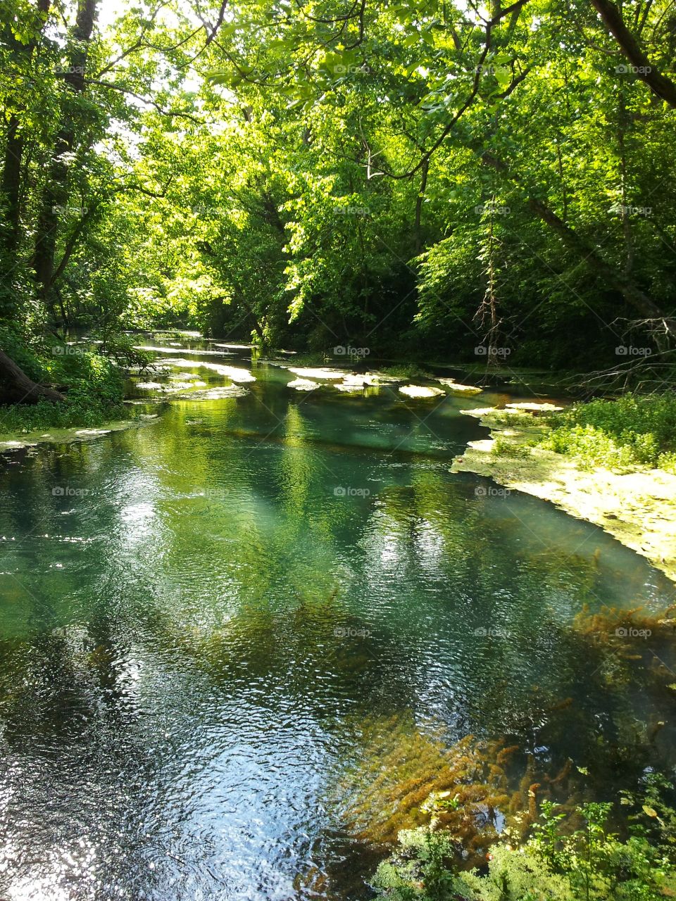 Upper Althea Springs on the North Fork River, Missouri.