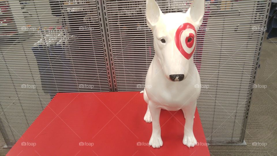 Target Dog