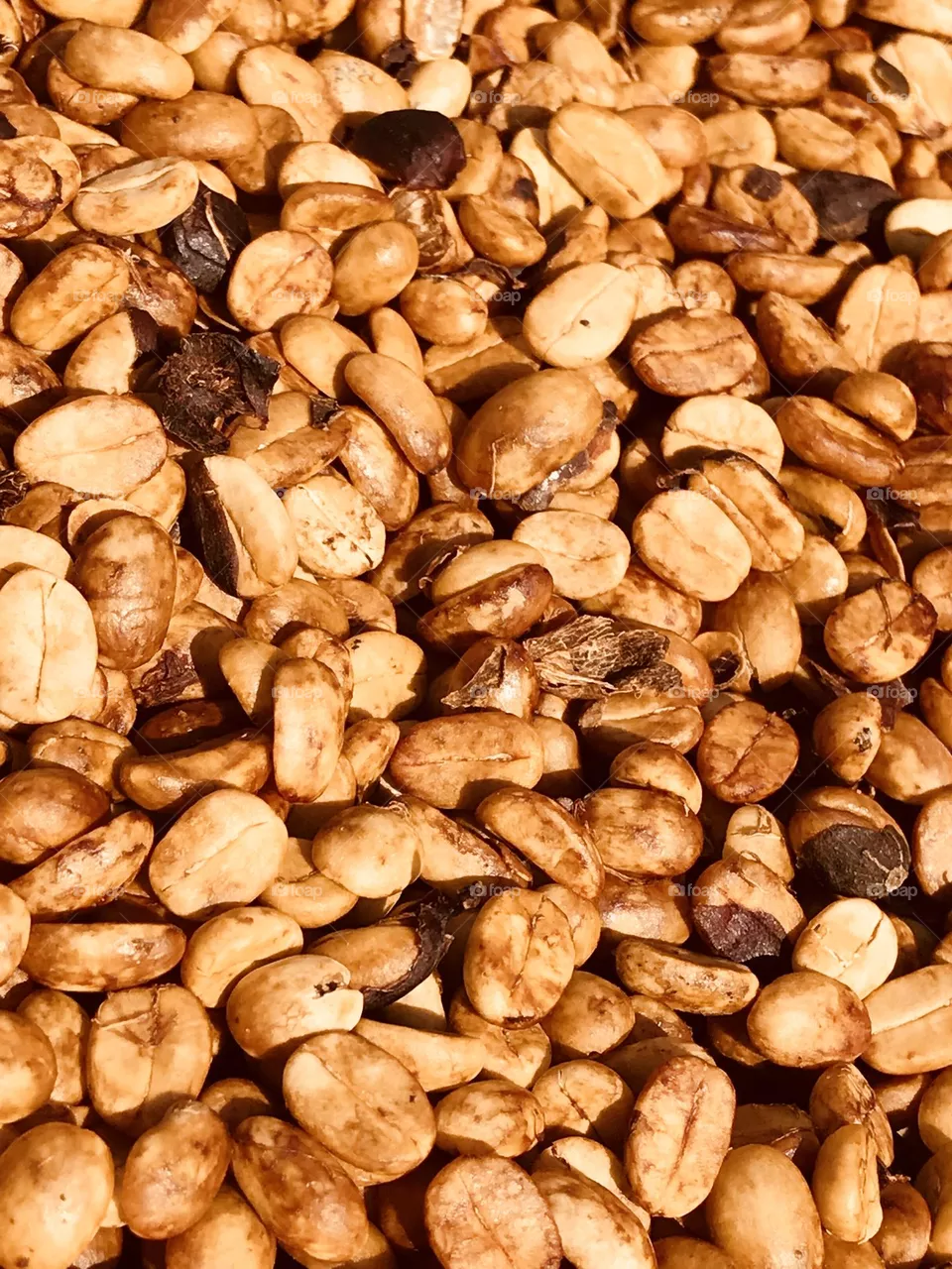 Sun Dried Coffee