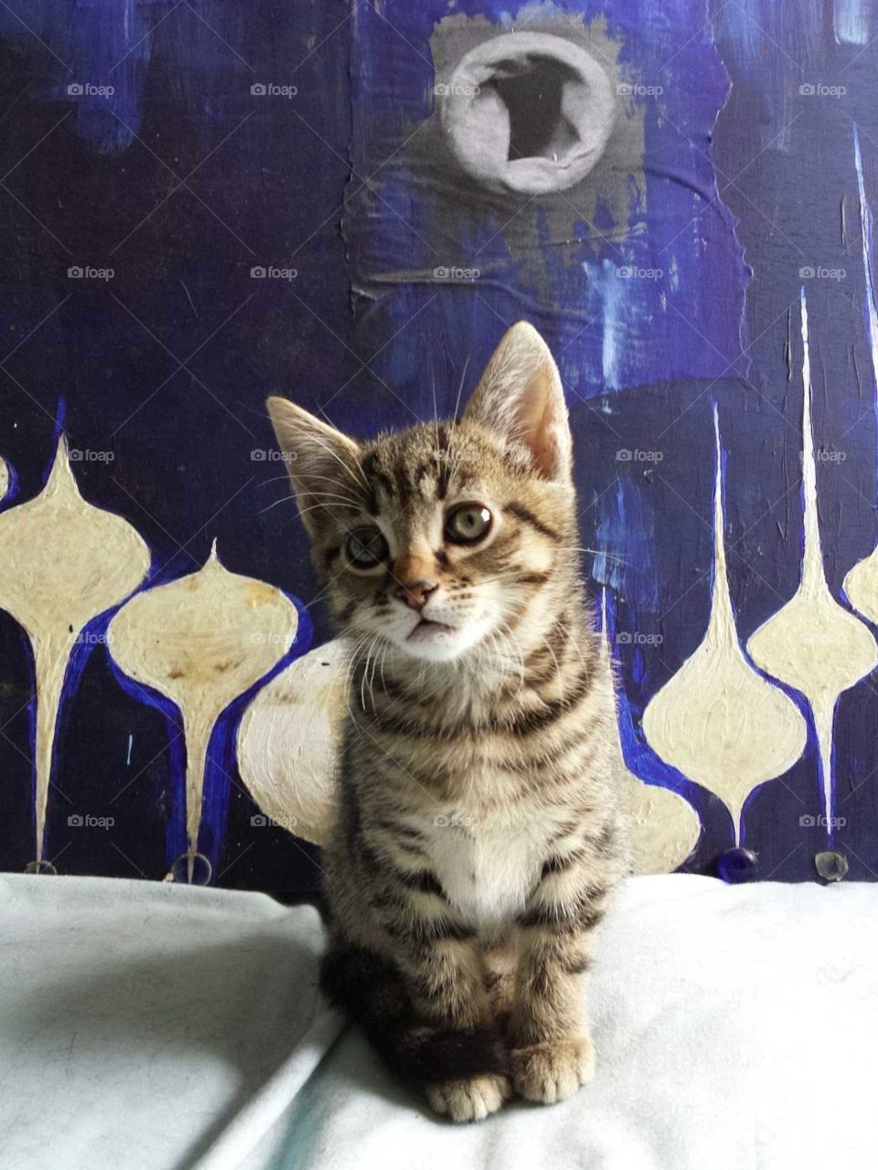 Kitten with Art Work