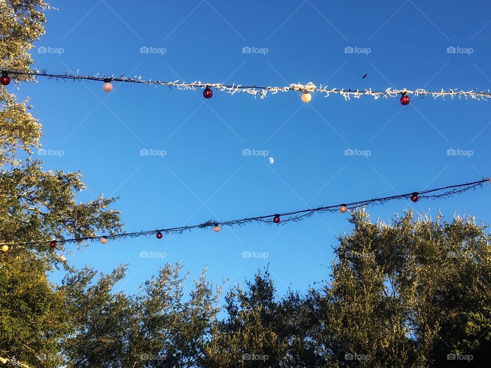 Seaworlds Christmas town with a moon shining through 
