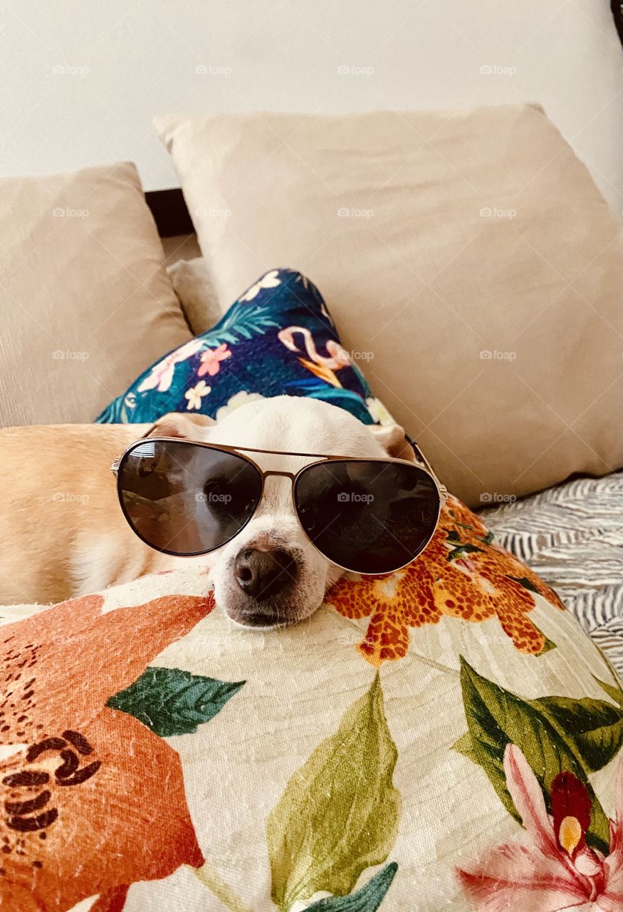 This is what I call relaxing vaca style 